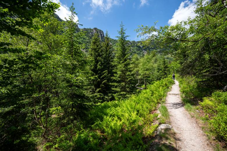 Lesy ČR letos odvedou do státního rozpočtu dalších 1,08 mld. Kč, celkem 5,5 mld. Lesy ČR letos odvedou do státního rozpočtu dalších 1,08 mld. Kč, celkem 5,5 mld.