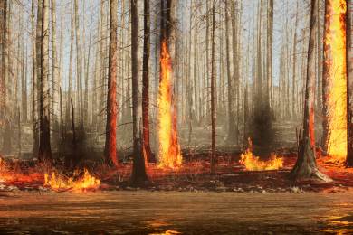 Vedra a požáry sužují několik evropských zemí, vyžádaly si už nejméně pět obětí