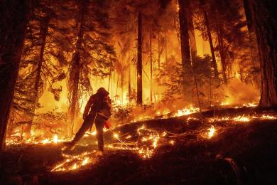 NYT: Severní Amerika bojuje s nadprůměrným počtem rozsáhlých lesních požárů