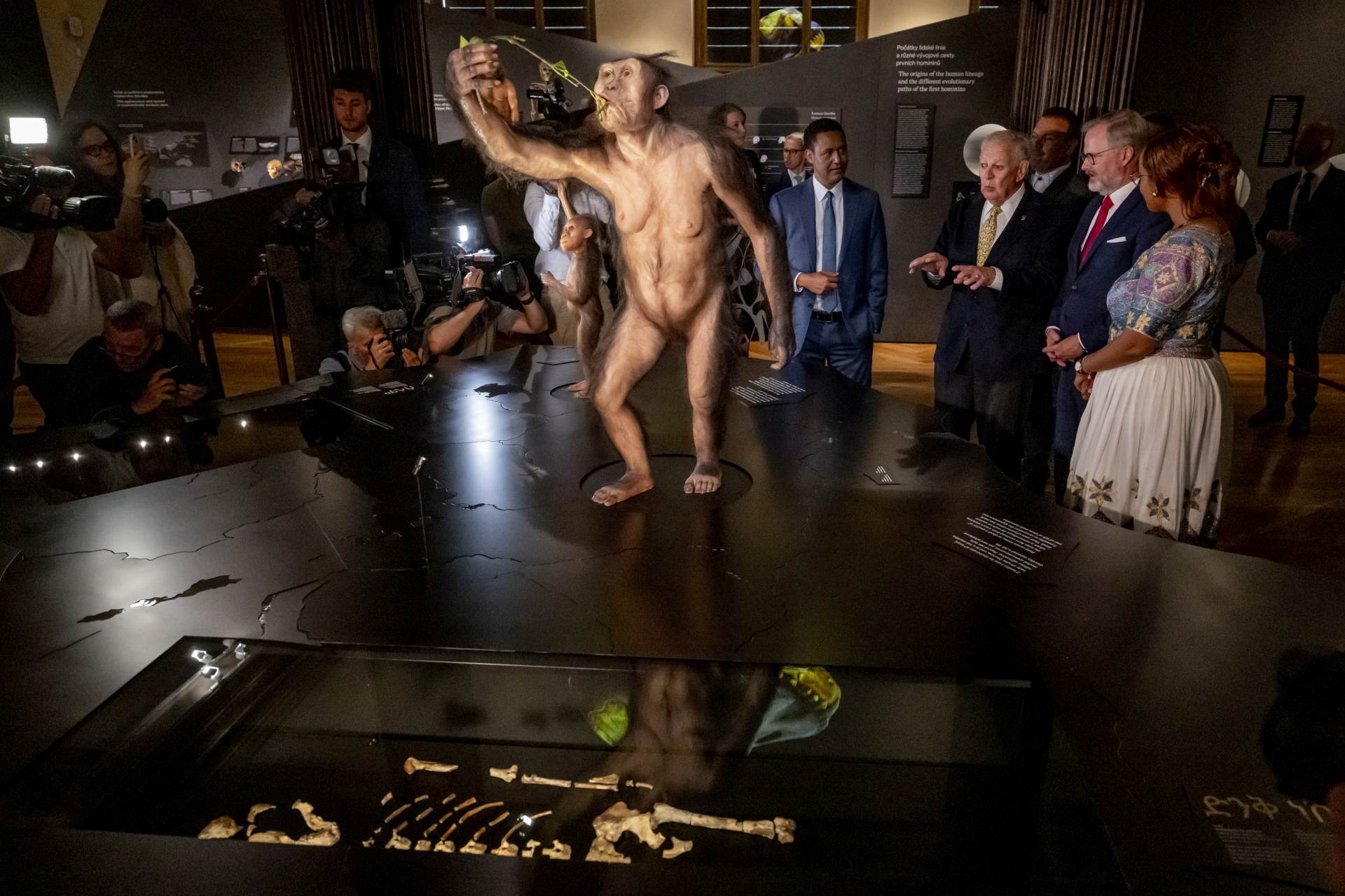 V NM dnes otevřeli expozici s fosiliemi 3,2 milionu let starých předků člověka