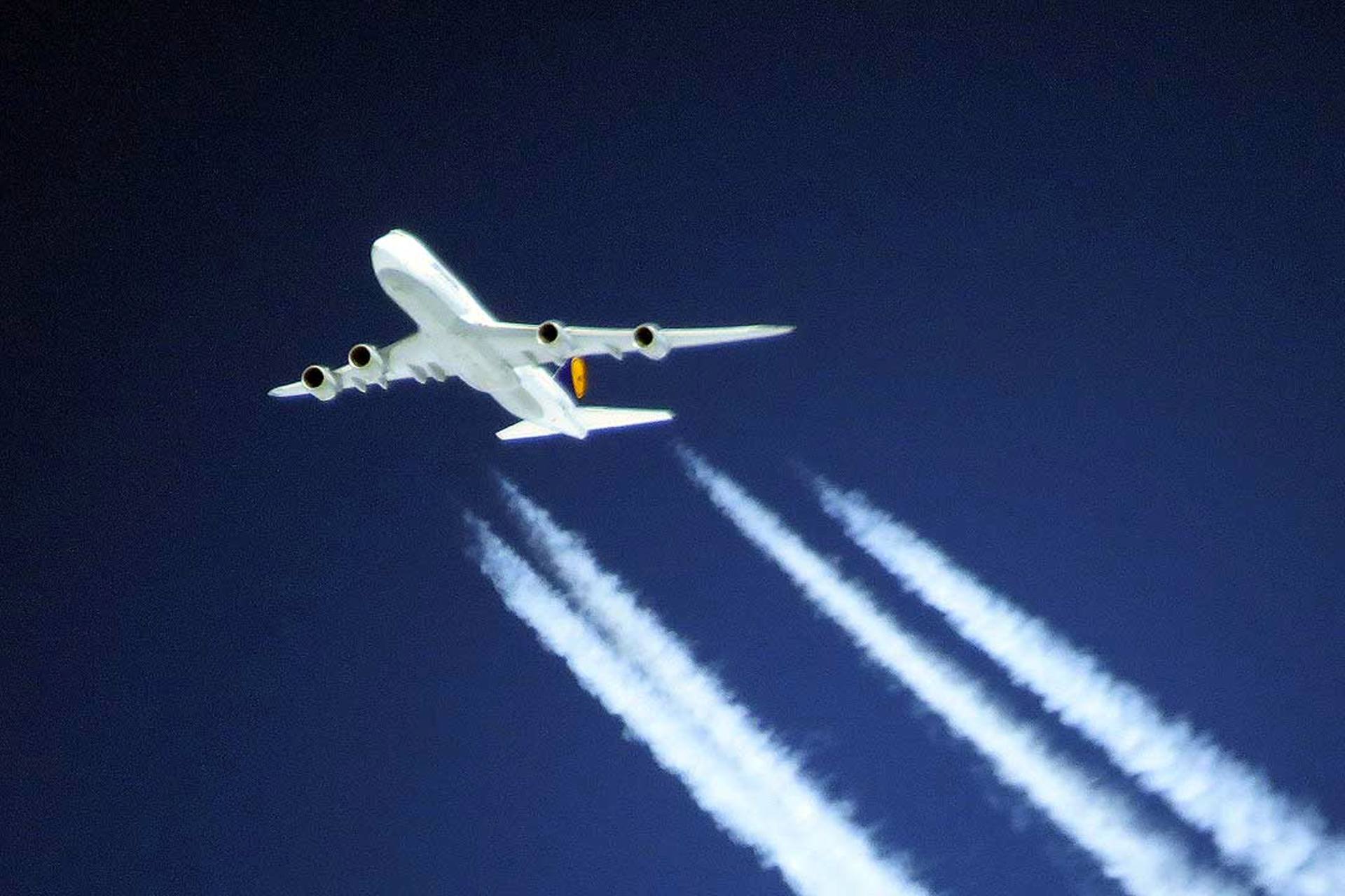 Lufthansa