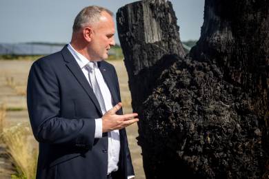 Duby čekaly 6500 let, z černého dřeva se stal přírodní archiv i světový příběh Duby čekaly 6500 let, z černého dřeva se stal přírodní archiv i světový příběh