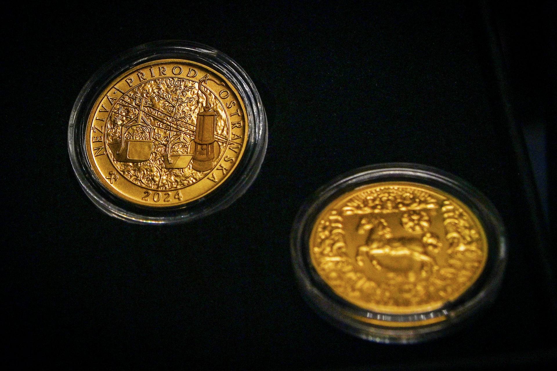  ČR výtvarné uhlí hobby numismatika Ostrava 