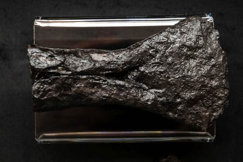 Archeologická výstava v Hradci Králové představuje exponáty z doby laténské