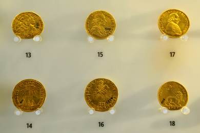 Noc vědců v Kroměříži představí lidem bohatství rostlin i drahých kovů