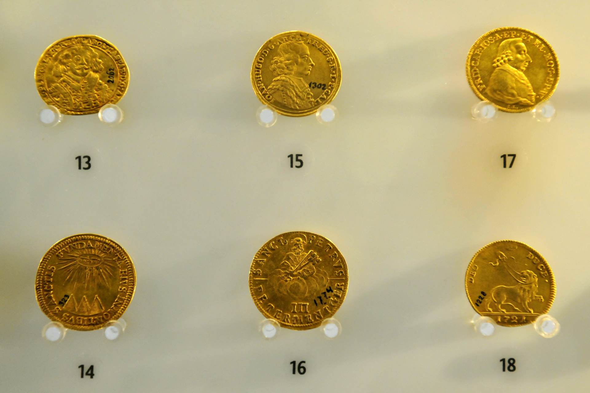 Noc vědců v Kroměříži představí lidem bohatství rostlin i drahých kovů