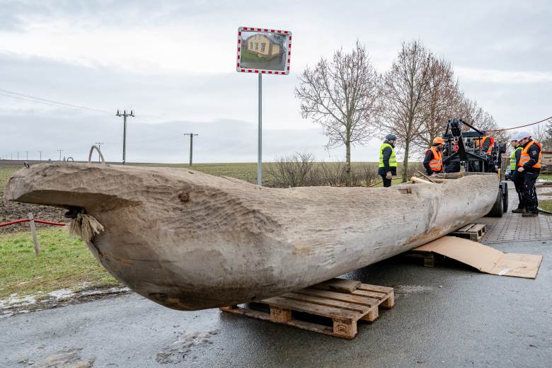V budoucí exopozici Archeoparku Všestary je ode dneška člun z expedice Monoxylon