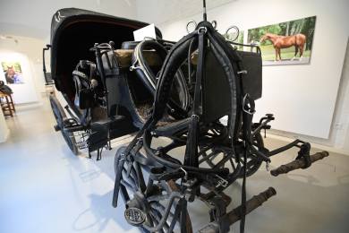 Výstava v Muzeu Kroměřížska představuje chov moravského teplokrevníka