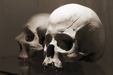 Mor zasáhl Čechy silněji, než se předpokládalo, ukázal výzkum v Kutné Hoře