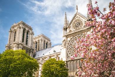 AP: Věřící se na Velikonoce vracejí do obnovené Notre-Dame s dojetím a úžasem