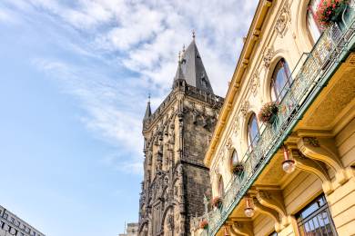 Pražský Obecní dům prodloužil výstavu obrazů Otta Plachta z pralesa