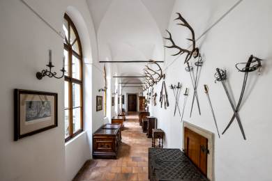 Památkáři podali ústavní stížnost proti verdiktu soudu v kauze zámku Opočno