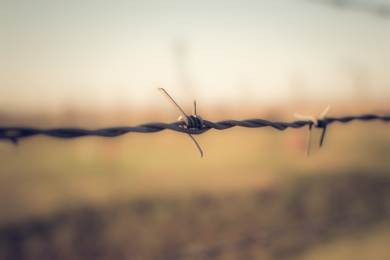 AFP: Jak se žije v Osvětimi, ve stínu nacistické továrny na smrt