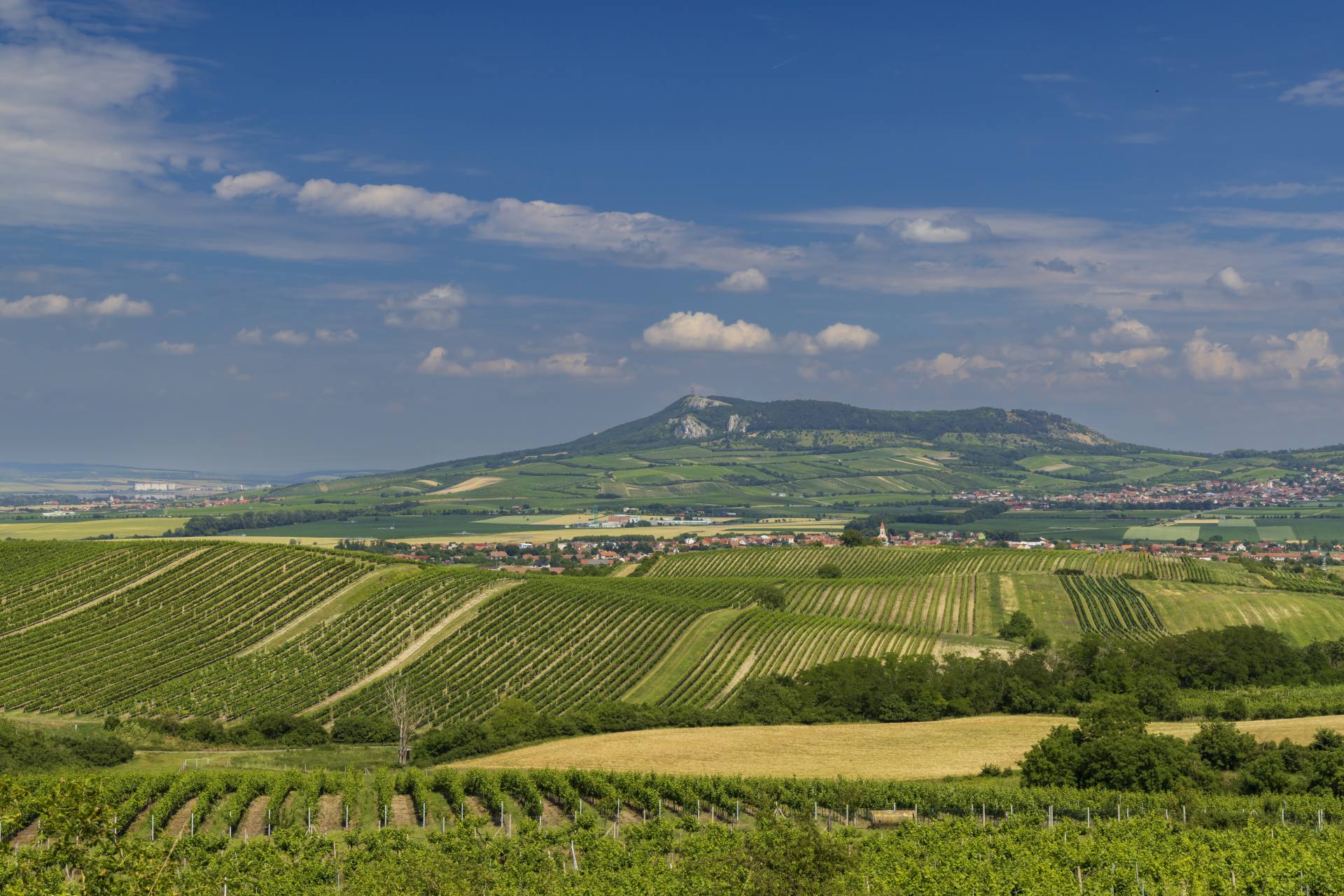  ČR víno zábava Mikulov 