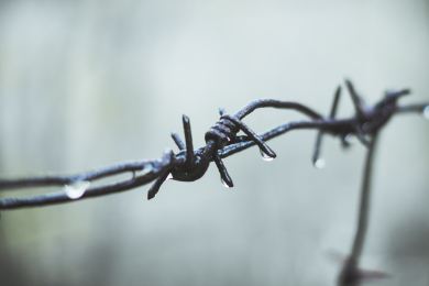 Ceny Paměti národa získají lidé, kteří čelili gestapu, StB i ruské invazi