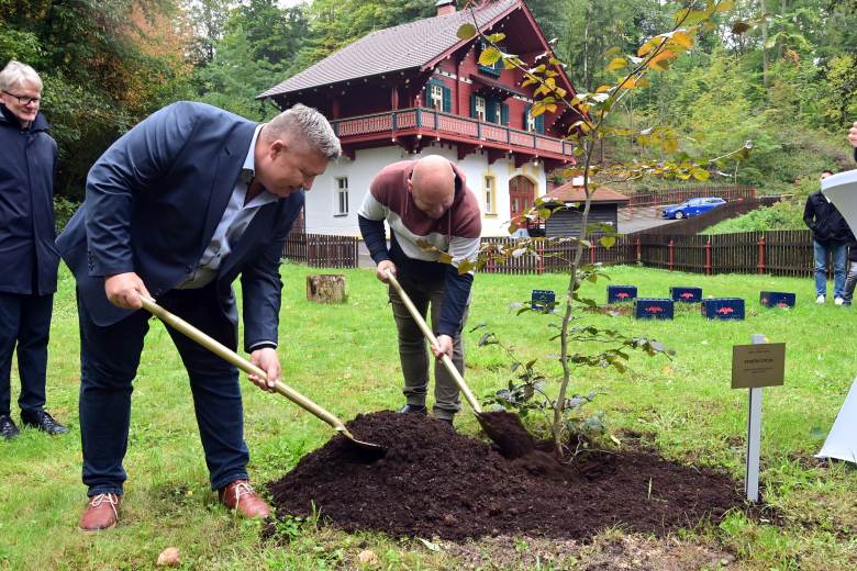 Odkaz zakladatele nápojové firmy a lázní Kyselka připomíná i pamětní strom