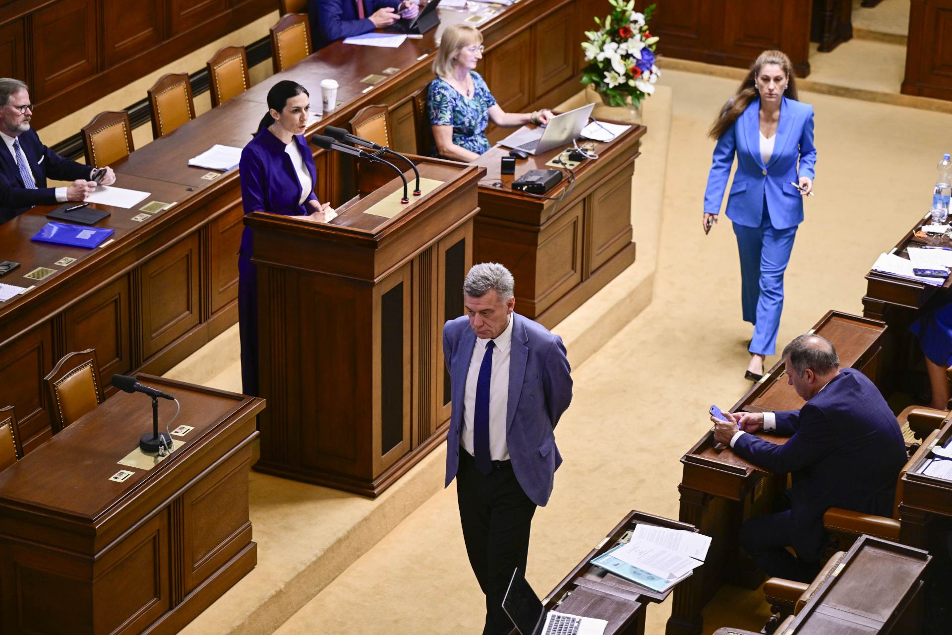  ČR sněmovna vláda kriminalita měna kryptoměny Blažek 