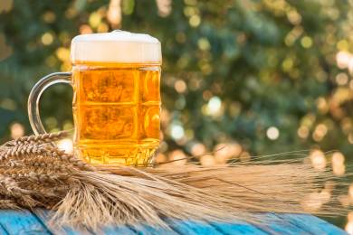 Budvaru loni stoupl čistý zisk na 361 mil. Kč a tržby na rekordních 3,67 mld. Kč