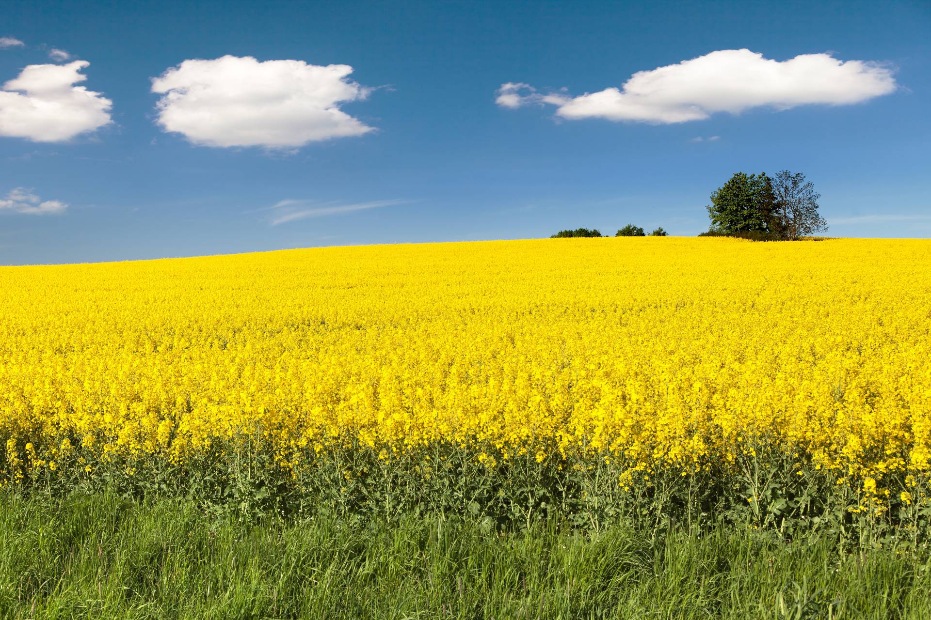 Ředitel Agrofertu: K vrácení dotací není důvod, Agrofert se bude právně bránit