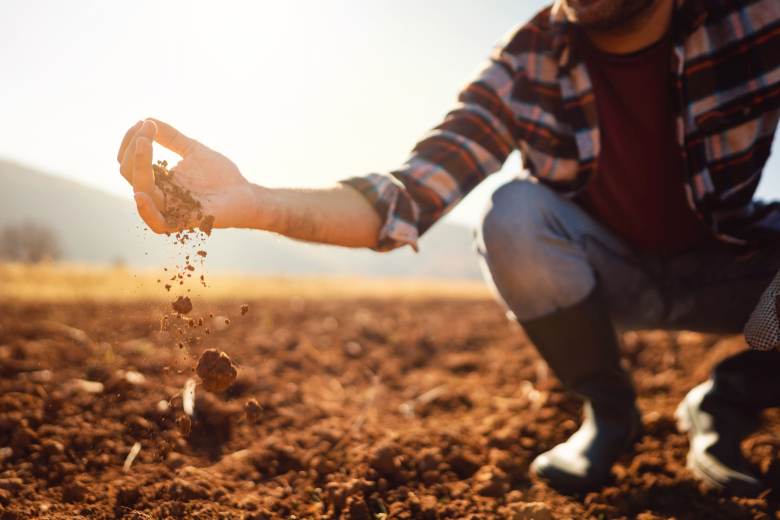 Začíná platit zákon, který má mladým zemědělcům usnadnit přístup k půdě