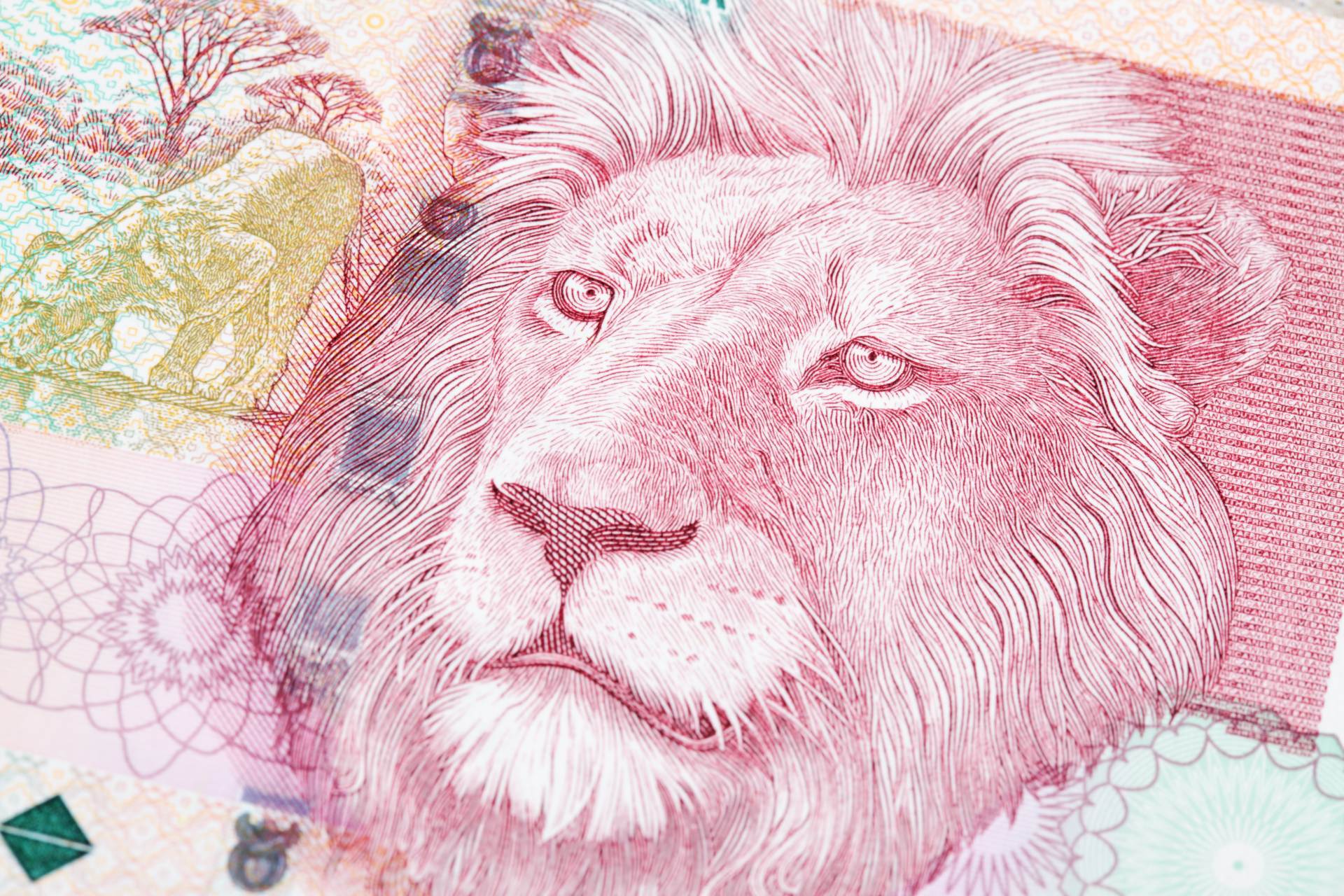 AFP: Americká cla tvrdě dopadnou na zemědělce z JAR, které chtěl Trump chránit