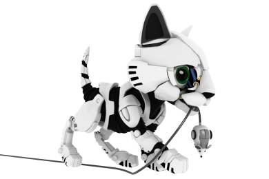 Japonské letiště otevřelo obchod se suvenýry, kde obsluhuje kočičí robot