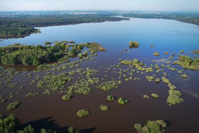 Rybník Rožmberk původně nevznikal jako významné vodohospodářské dílo