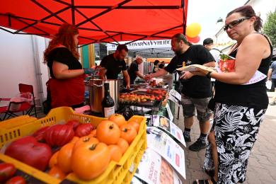 ČR zábava pěstování Břeclav