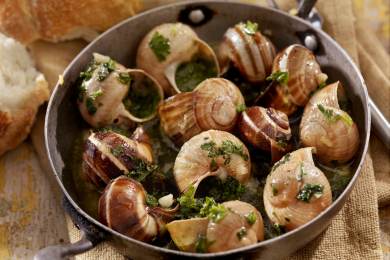 Zloději ukradli z francouzské farmy jedlé šneky za téměř 2,2 milionu Kč