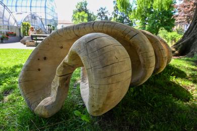 Studenti VUT vystavují v botanické zahradě v Brně 18 soch