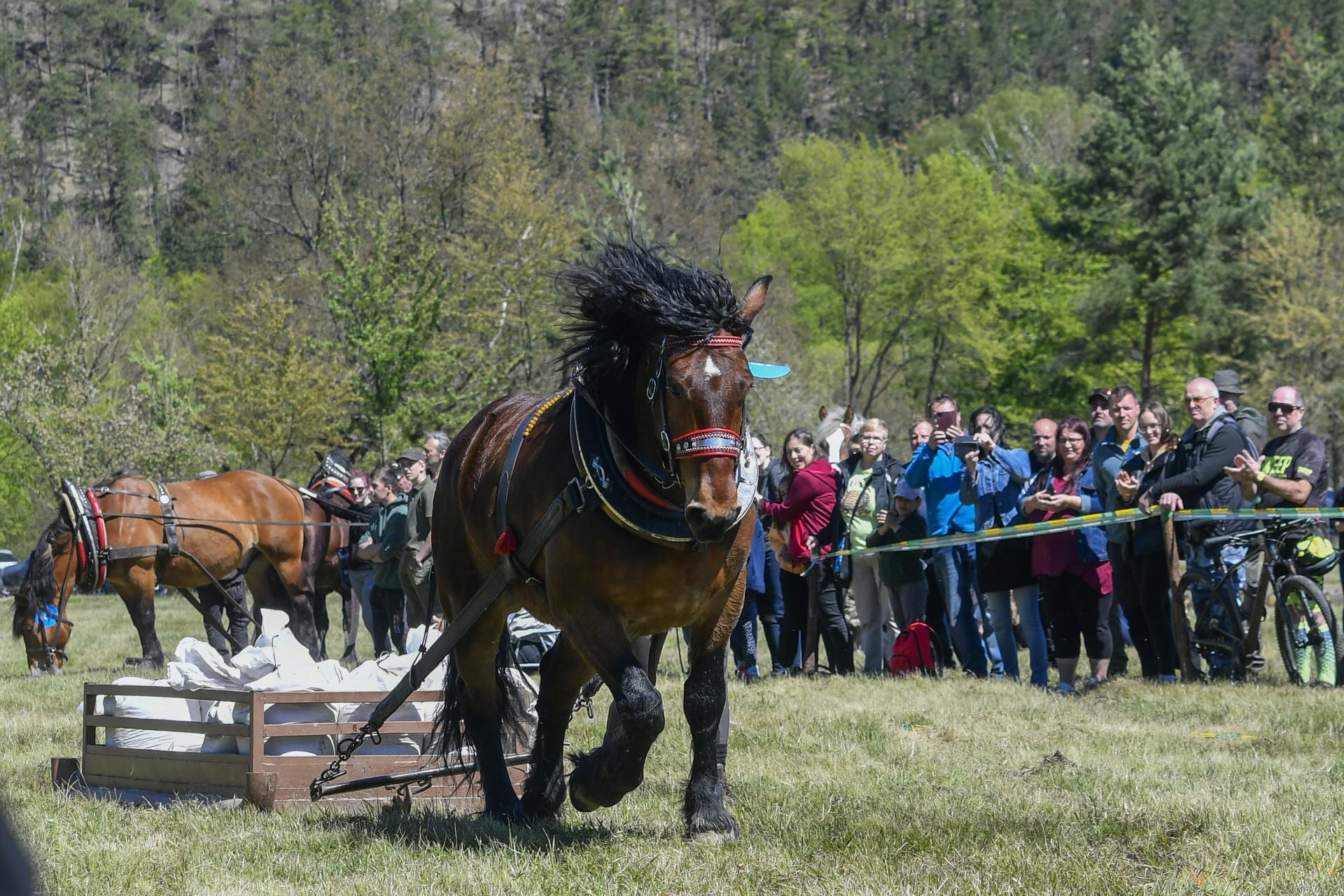  ČR hobby chov lesy rezervace Brdy Středočeský Plzeňský 