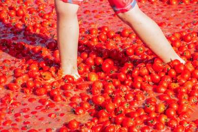 Na bitvu Tomatina ve španělském Buňolu se letos spotřebovalo 150 tun rajčat