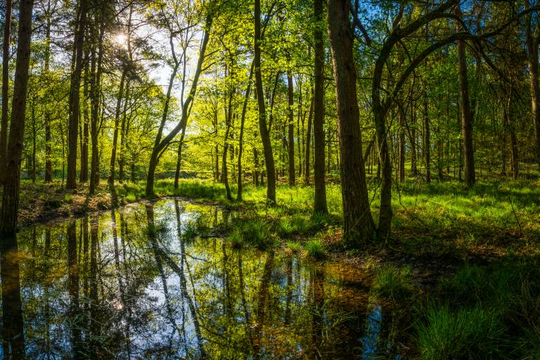 Nové tůně v Krnově pomohou zadržet vodu a podpořit biodiverzitu