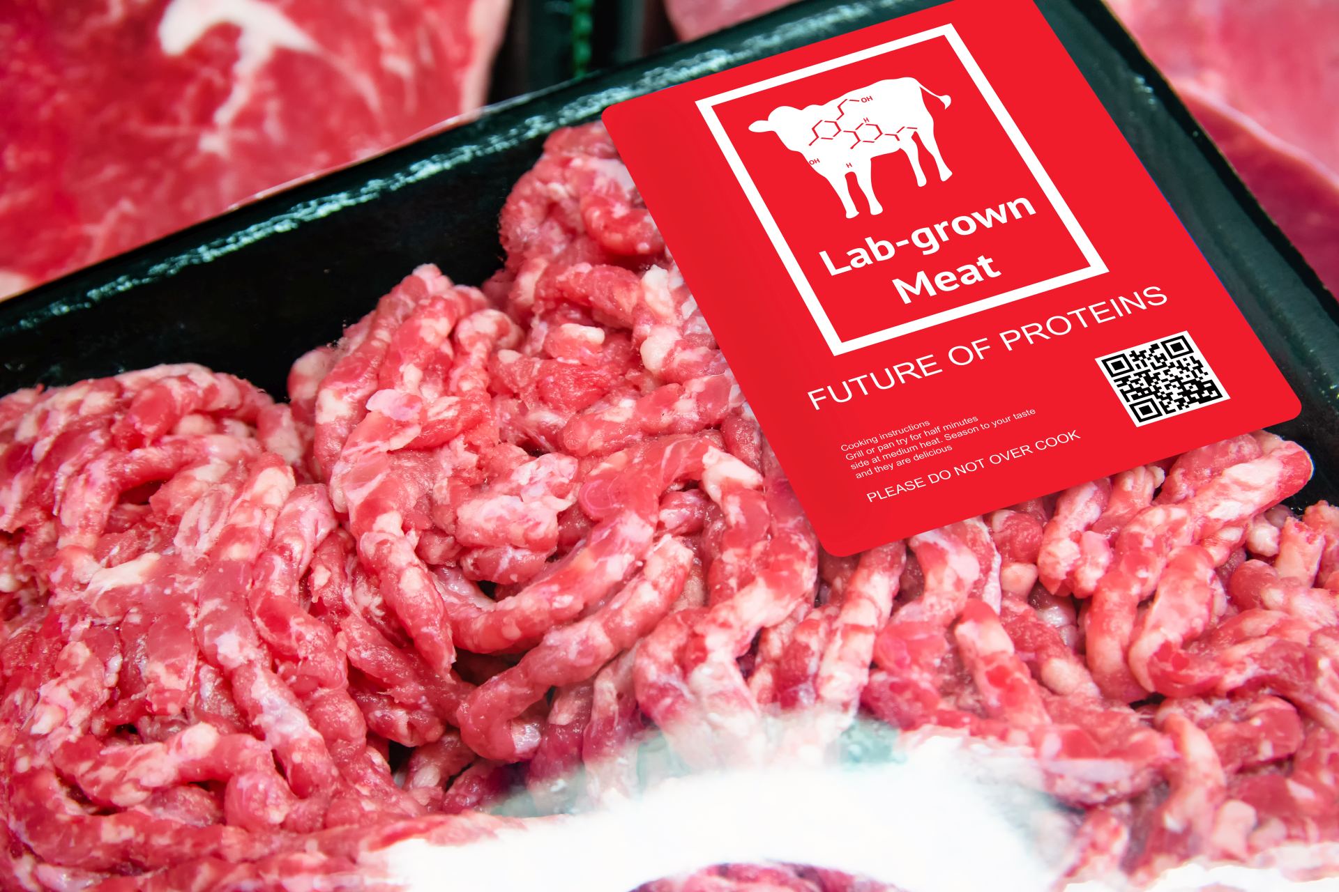  Itálie parlament zákon zdraví potraviny maso 