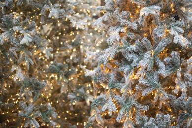 AP: Američané stále upřednostňují umělé stromky, i když jejich dovoz zdražil