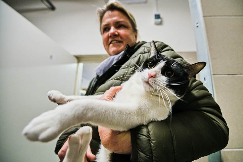 Zvířecí útulek v Brně pořádá jednou za měsíc komentované prohlídky