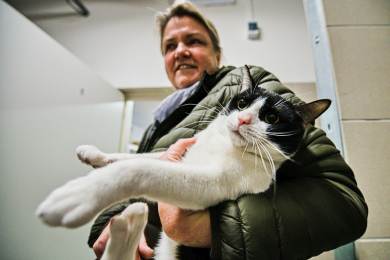 Zvířecí útulek v Brně pořádá jednou za měsíc komentované prohlídky