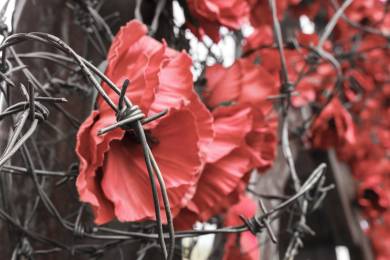 AFP: Na Ukrajinu jezdí západní turisté fascinovaní válkou
