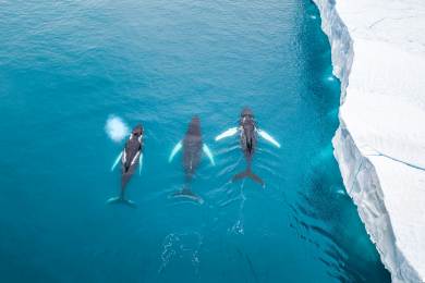 Británie moře zajímavosti