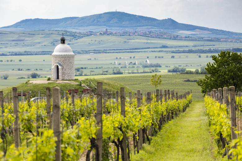 Kapela Tři sestry přispěje na vinařství Víno Kadrnka, jeho majitel letos zemřel