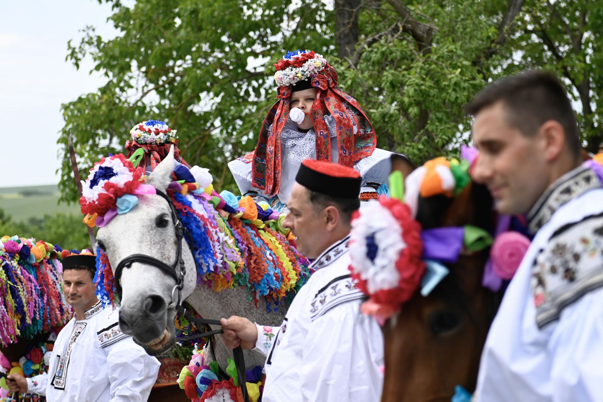  ČR folklor zábava Jízda_králů Vlčnov 