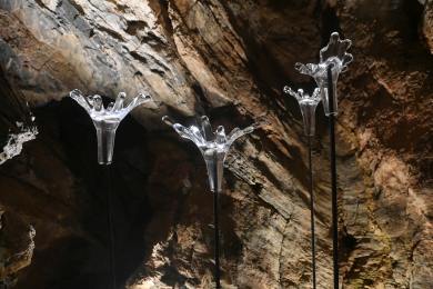 ČR příroda výtvarné Hranice Přerovsko