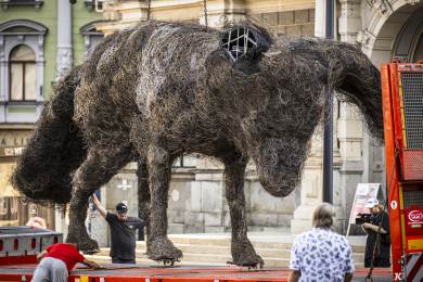 Čtyřtunového drátěného Vulpsa Gotta nahradí u radnice v Liberci pískovcová socha
