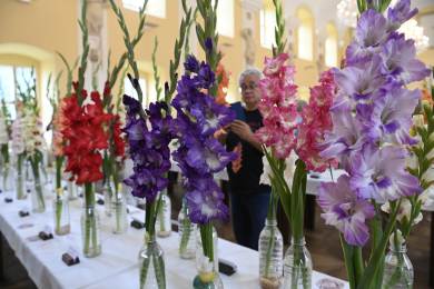 Valašské Meziříčí bude hostit výstavu mečíků, podle pořadatelů největší v ČR