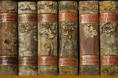 Litevský soud odsoudil Gruzínce na tři roky za krádeže vzácných knih