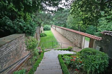 Areál Pražského hradu tvoří ekosystém se vzácnými druhy, ukázal průzkum biologů