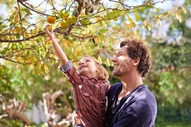 ČR příroda hobby věda zahrádkaření