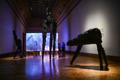 Indický umělec Rahal zve v Galerii Rudolfinum za hranice města času