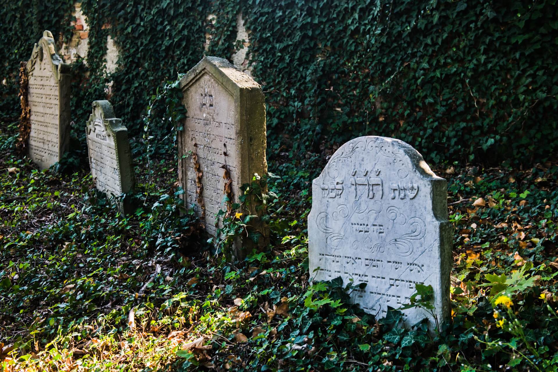 Židy v Moravském Krumlově už připomíná jen hřbitov, dnes se jím provázelo