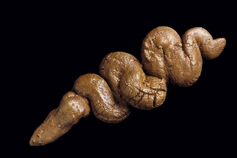 Americký sběratel zkamenělých výkalů si v Arizoně otevřel muzeum